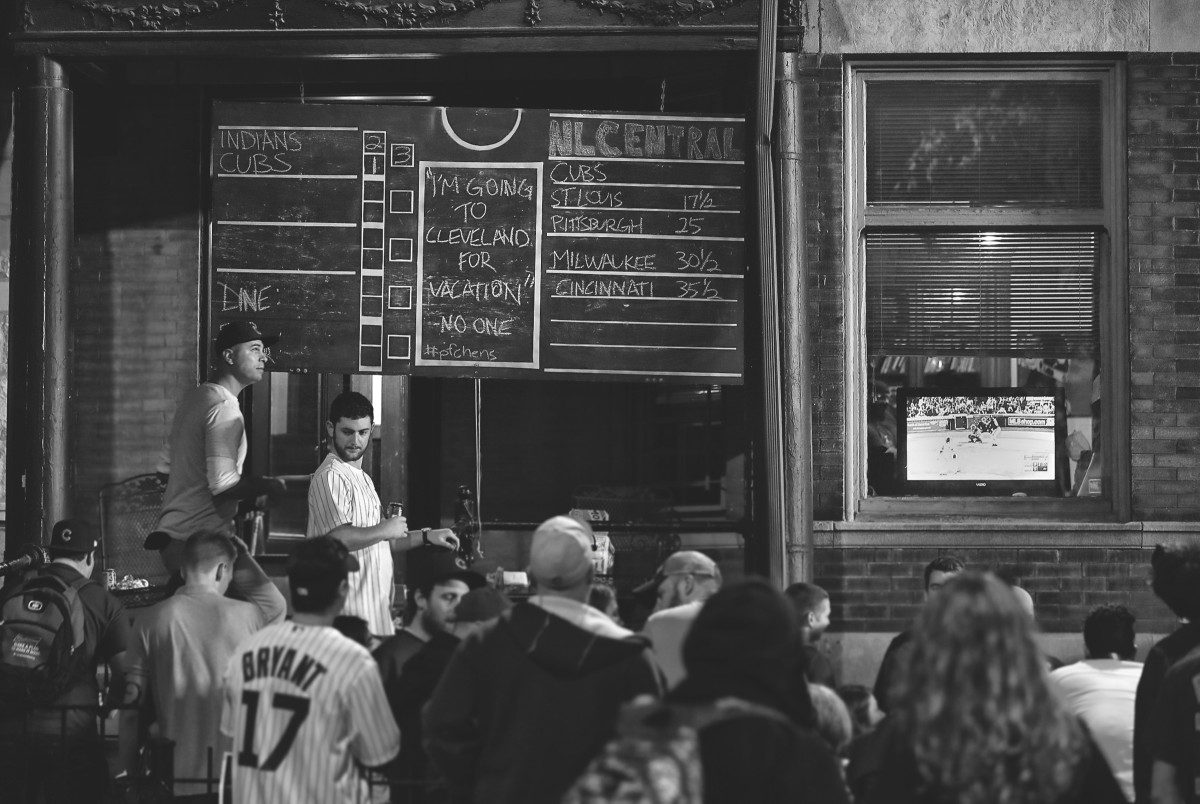 cubs-yard